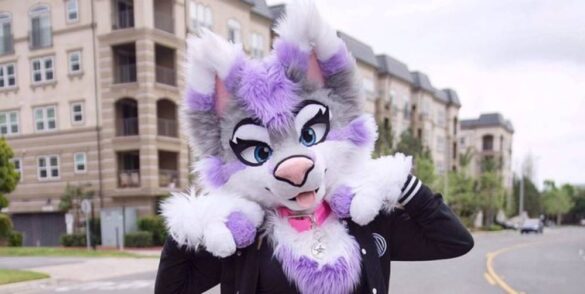 Beautiful Furry Costumes for Adults at Cheap Price Range 