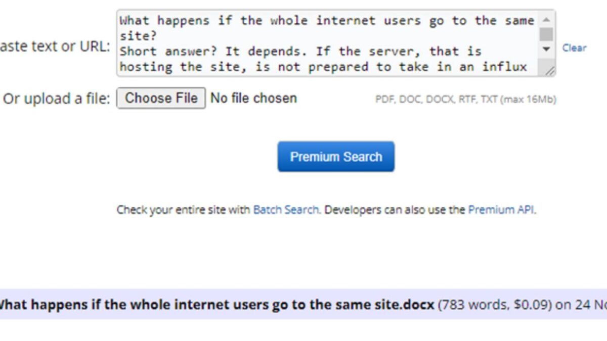 What Happens If The Whole Internet Users Go To The Same Site?